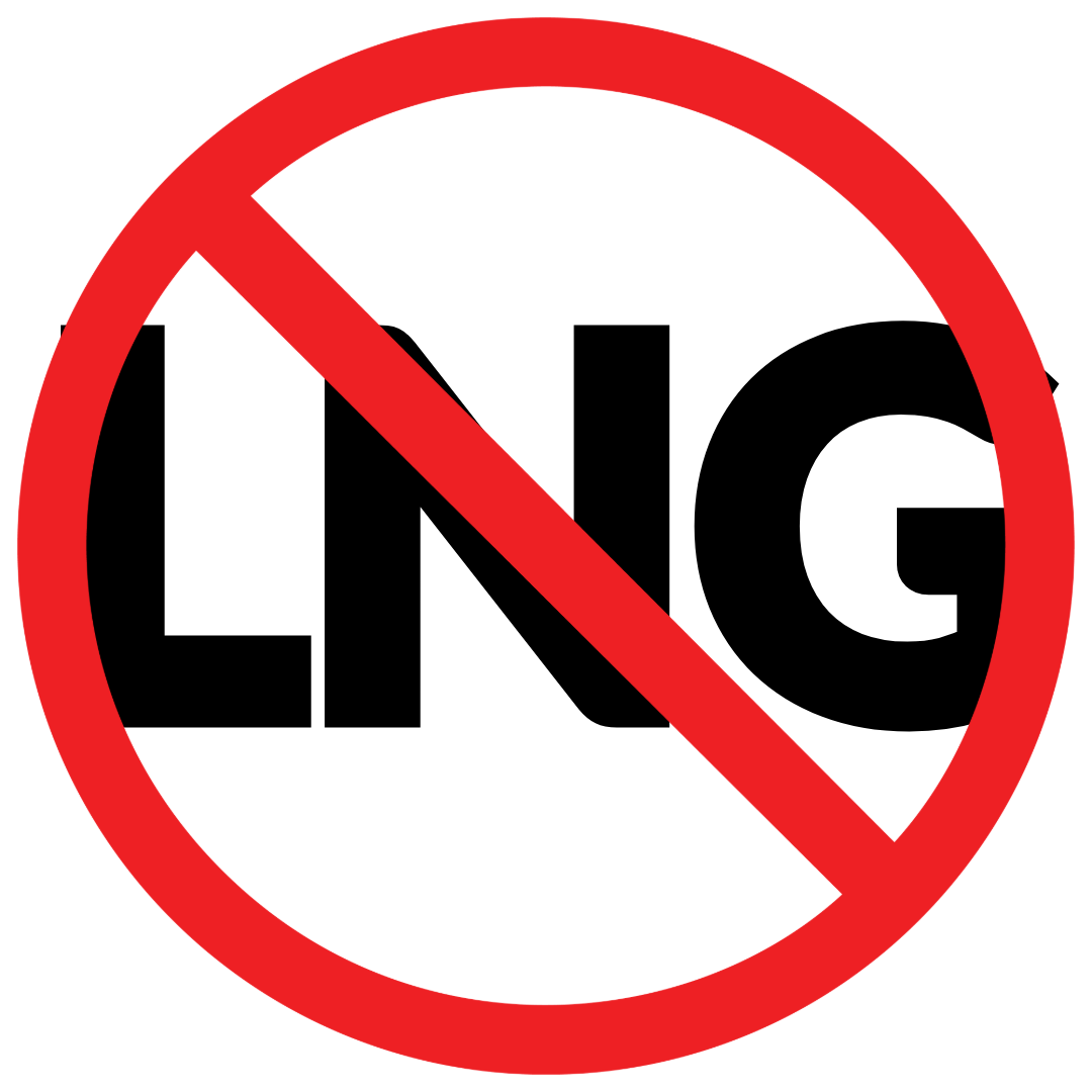 NO-LNG-3.png